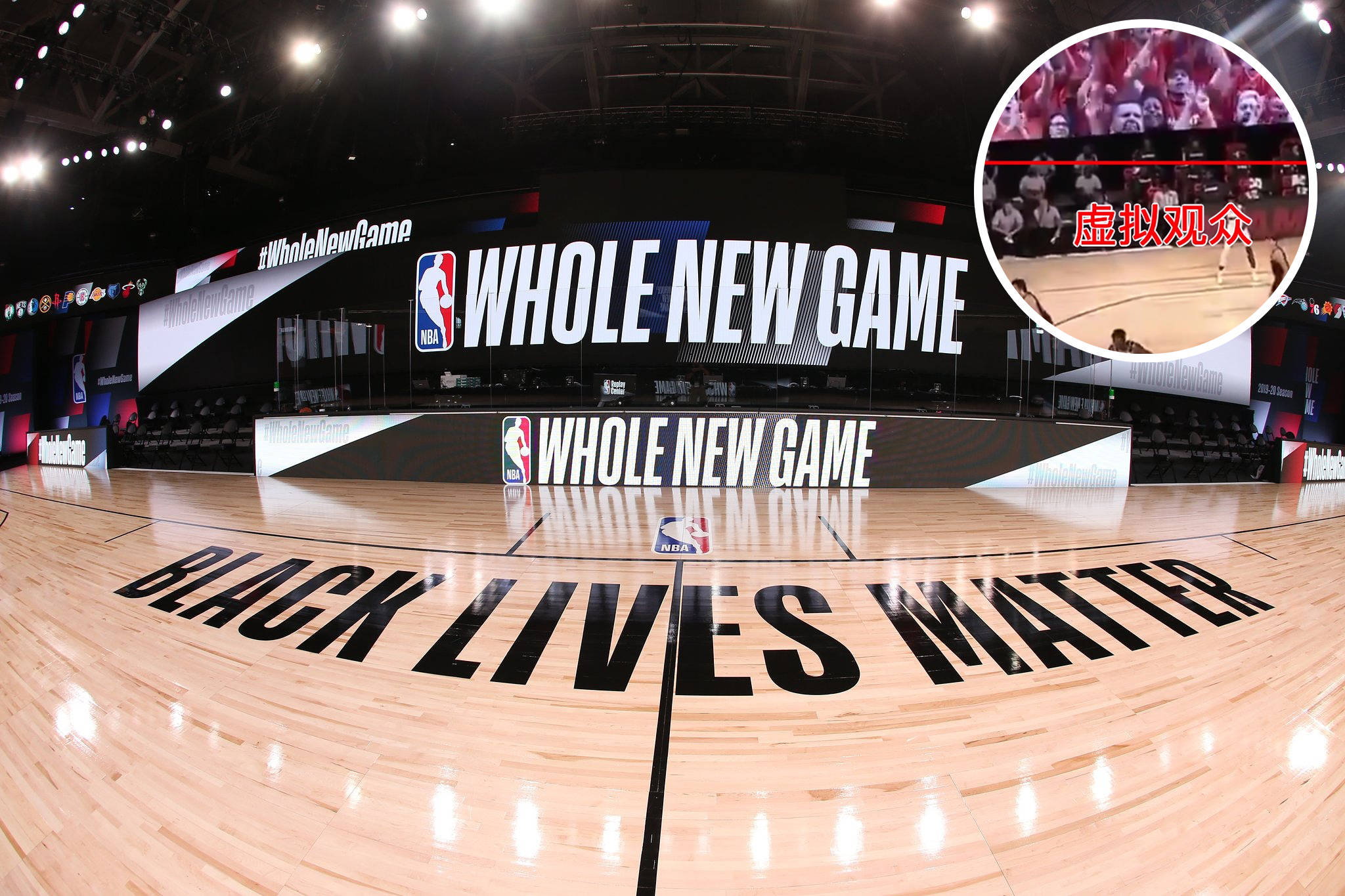 他们致力于 他们致力于